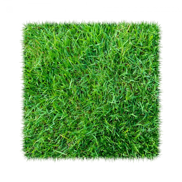 Green grass. Natural texture background. Fresh spring green grass