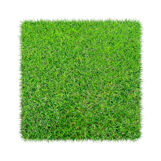 Green grass. Natural texture background. Fresh spring green grass