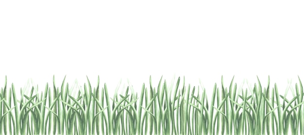 緑の草の自然風景 縫い目のない境界線のパターン 夏の緑の植物 水平のバナー 手