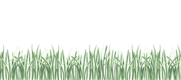 Photo green grass nature landscape seamless border pattern summer greenery plants horizontal banner hand