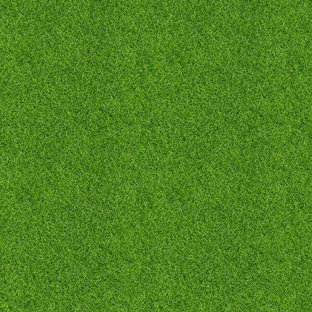 Green grass pattern and texture for background. Close-up.