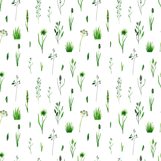 Green grass and plants seamless pattern Nature background