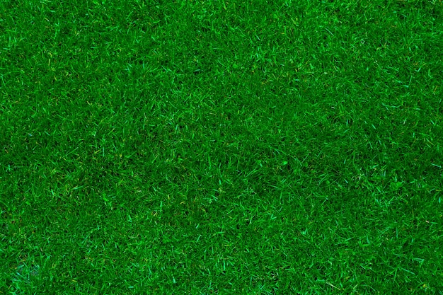 Green grass seamless texture