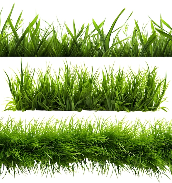 green grass set element