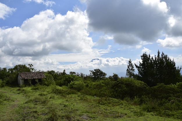 コタカチ火山の火口の斜面にある緑の草