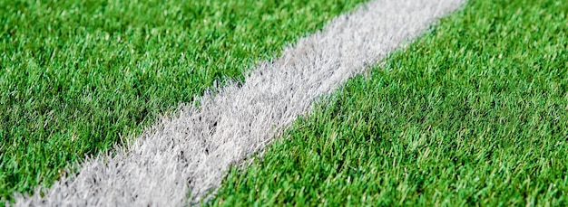 Green grass on sport field with white line