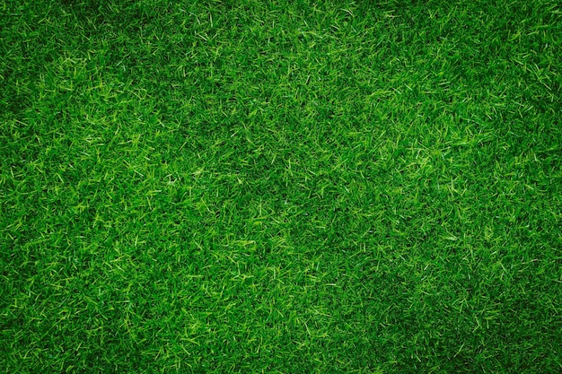写真 緑の草のテクスチャの背景緑の背景のサッカー場を作るために使用される草の庭のコンセプトグラスゴルフ緑の芝生のパターンテクスチャの背景