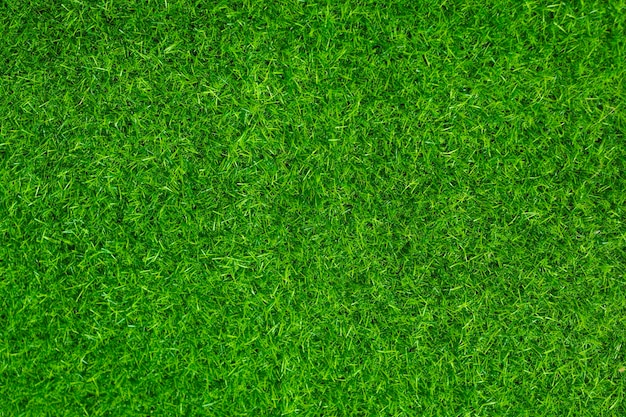 Фото Зеленая трава текстура фон концепция травяного сада используется для создания зеленого фона футбольное поле трава гольф зеленый газон узор текстурированный фон