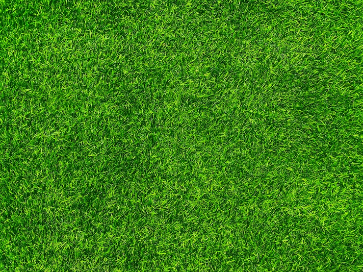 Photo green grass texture background grass garden concept used for making green background football pitch grass golf green lawn pattern textured background