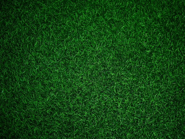 Green grass texture background grass garden concept used for making green background football pitch Grass Golf green lawn pattern textured background