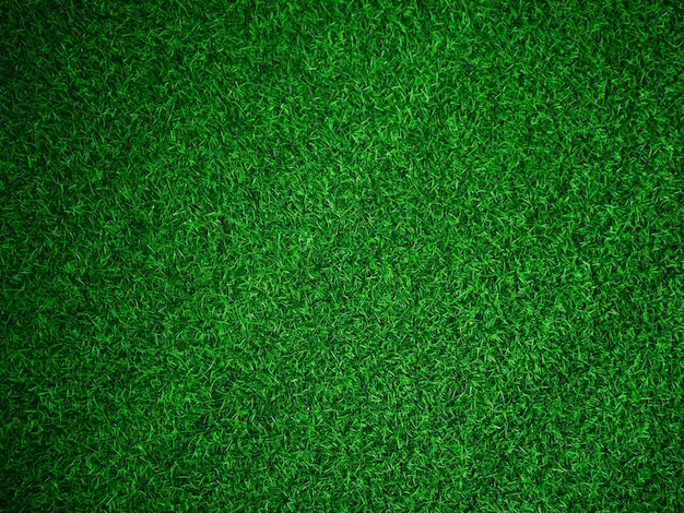 Green grass texture background grass garden concept used for\
making green background football pitch grass golf green lawn\
pattern textured background