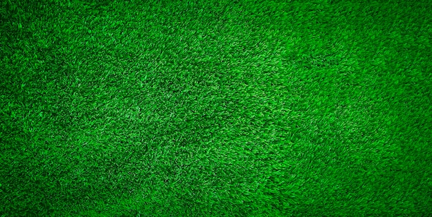 Green grass texture background grass garden concept used for making green background football pitch Grass Golf green lawn pattern textured background