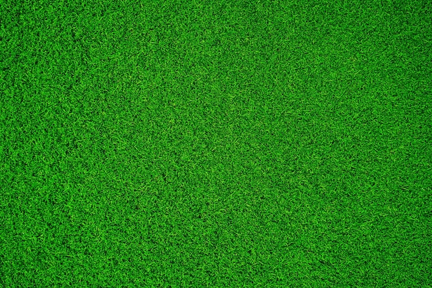 Green grass texture background grass garden concept used for making green background football pitch Grass Golf green lawn pattern textured background