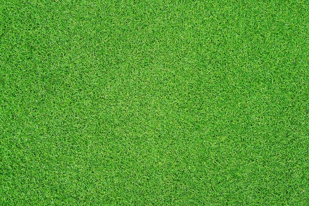 Green grass texture background grass garden concept used for making green background football pitch Grass Golf green lawn pattern textured background