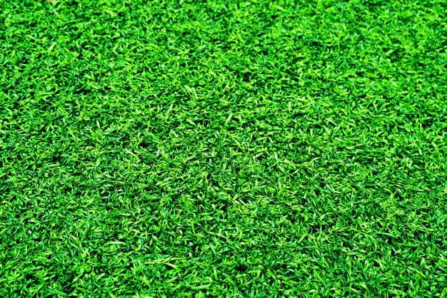 Green grass texture background grass garden concept used for making green background football pitch Grass Golf green lawn pattern textured background