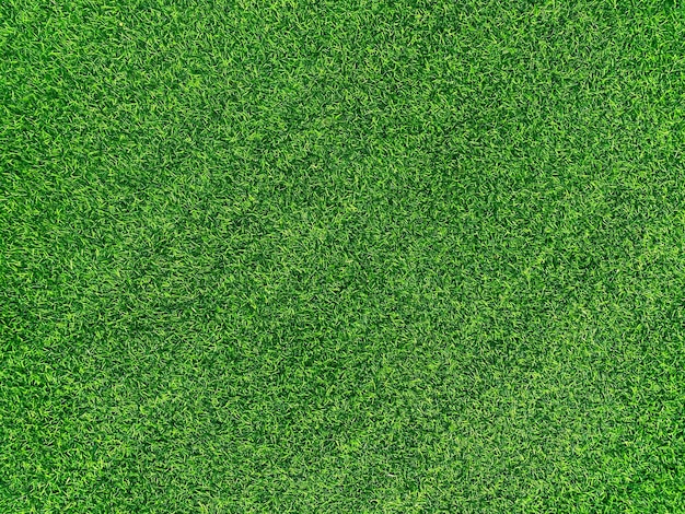 Erba verde texture di sfondo erba giardino concetto utilizzato per fare sfondo verde campo da calcio erba golf prato verde modello textured backgroundx9