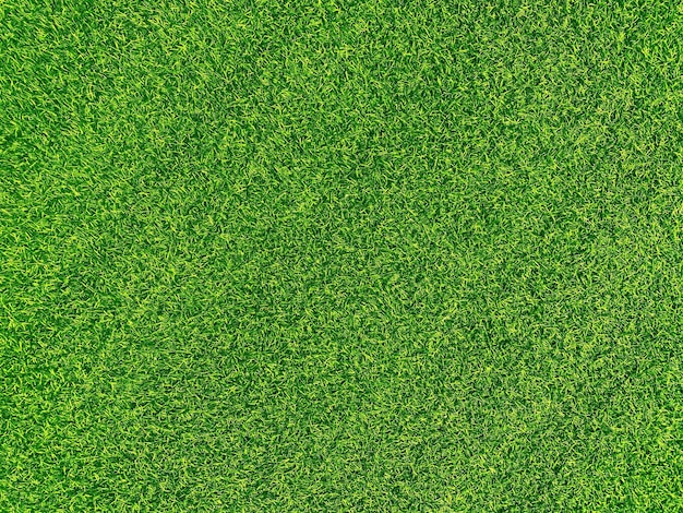 Erba verde texture di sfondo erba giardino concetto utilizzato per fare sfondo verde campo da calcio erba golf prato verde modello textured backgroundx9