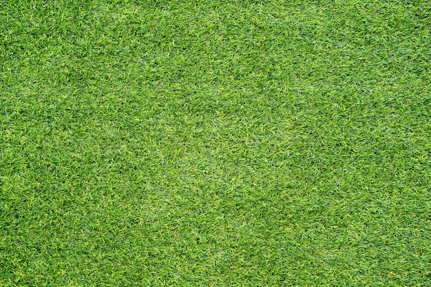 Текстура зеленой травы для фона Зеленый узор лужайки и текстура фона Крупным планом
