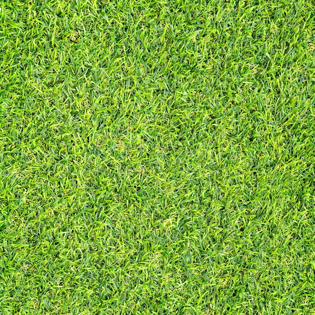 Trama di erba verde per lo sfondo modello di prato verde e texture di sfondo closeup