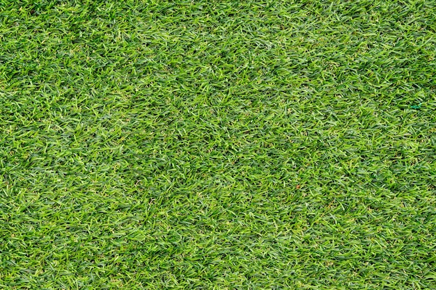 背景の緑の草のテクスチャ緑の芝生のパターンとテクスチャの背景