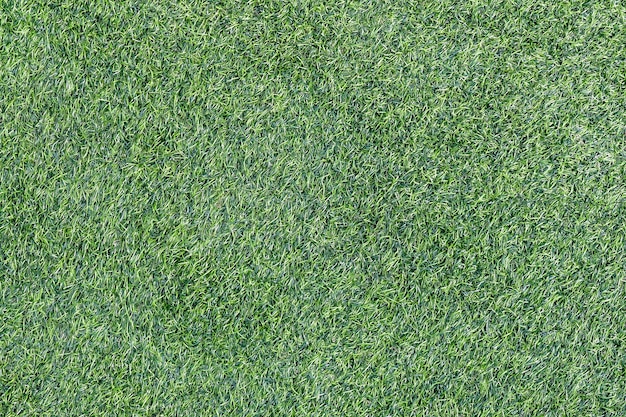 Green grass texture background Soccer field