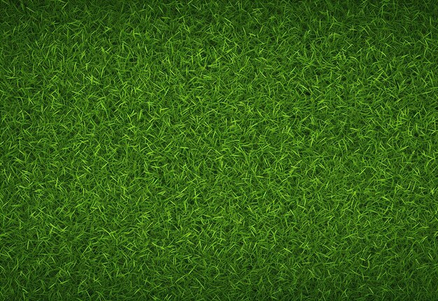 Photo green grass texture background