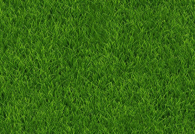 Green grass texture background