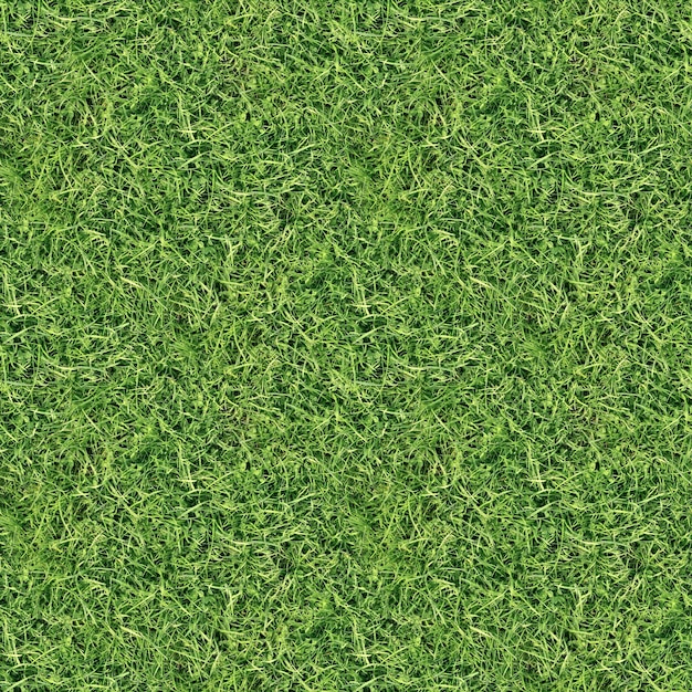 Photo green grass texture background