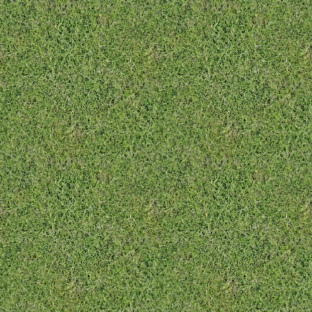 Photo green grass texture background