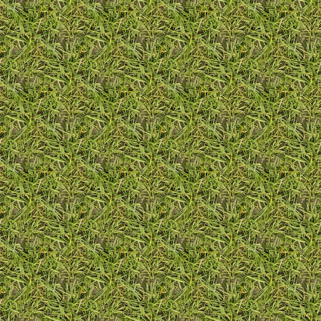 Фото Зеленый фон текстуры травы