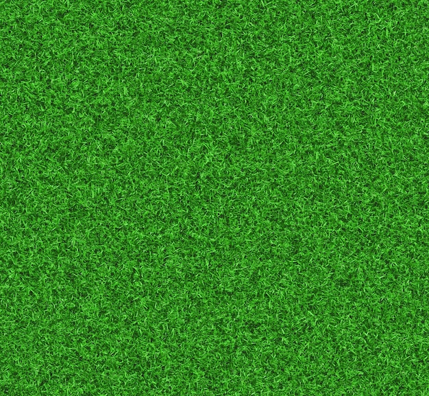 A green grass texture that is made by the company of the company.