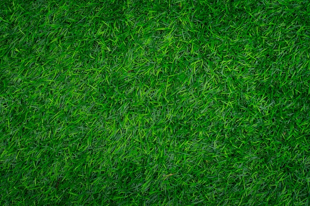 Green grass texture.