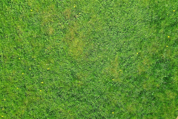 緑の芝生の上面図、抽象的な自然フィールドの背景