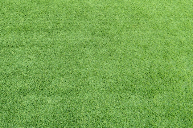 Green grass or turf background