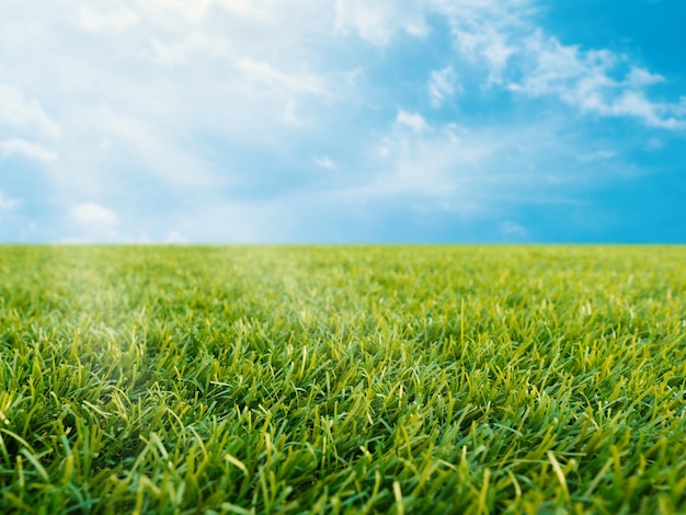 Photo green grass or turf on blue sky background