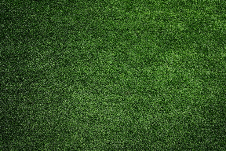 Photo green grass wallpaper fresh green grass wallpapers wallpaper cave this week of green grass wallpaper
