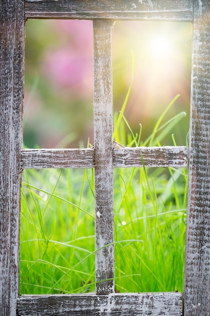 Green grass at the window Spring holidays concept