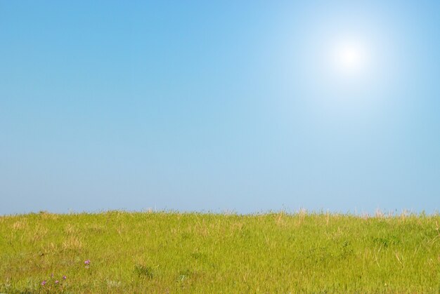 Photo green grass with blue sky sun and clouds.