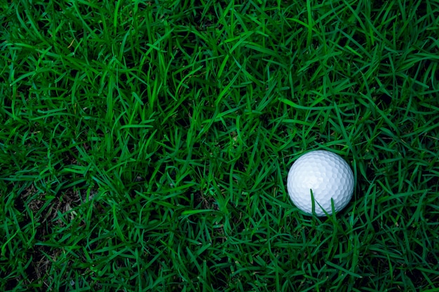 Green grass with golf ball close-up in soft focus at sunlight. Sport playground for golf club concept