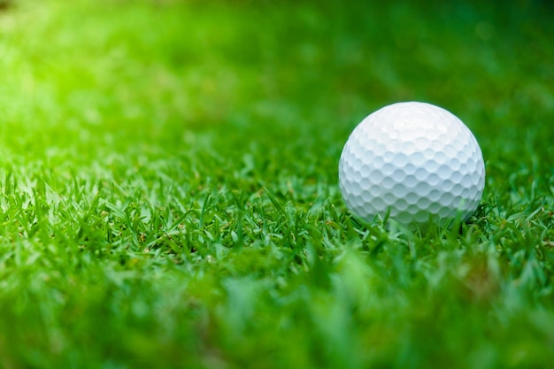 Green grass with golf ball closeup in soft focus at sunlight\
sport playground for golf club concept golf ball on tee ready to be\
shot