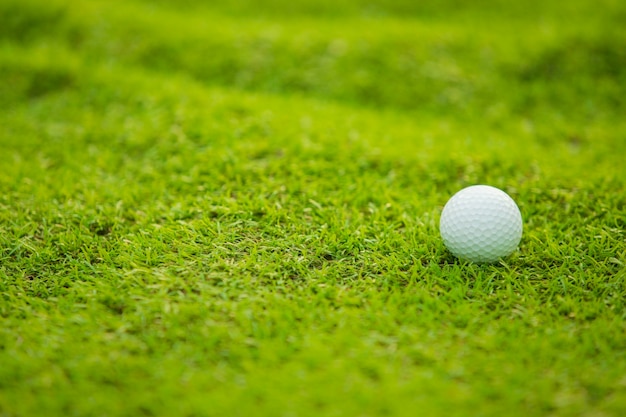 Photo green grass with golf ball