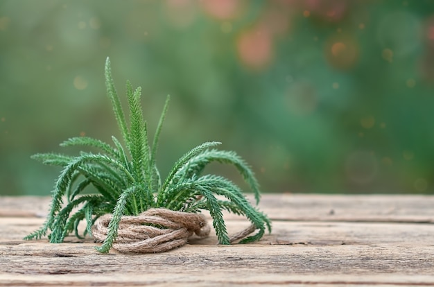 Green grass with a rope on a wooden table on a blurry background
