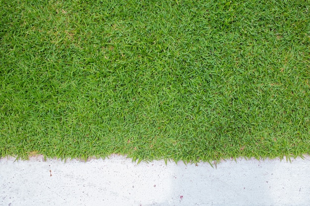 green grass with white concrete