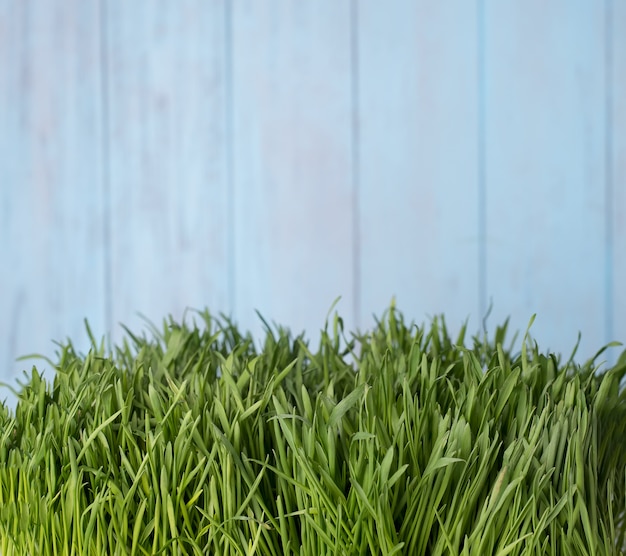 Green grass over wood background.