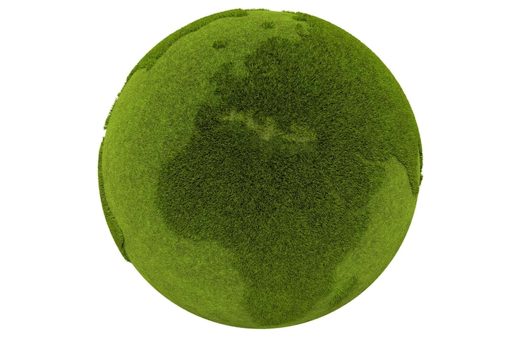 Photo green grass world