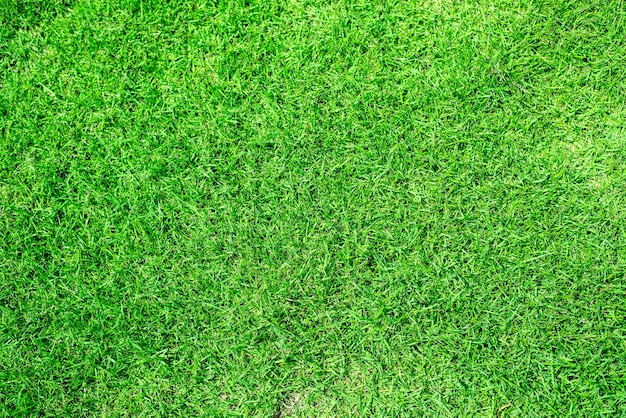 Green grass