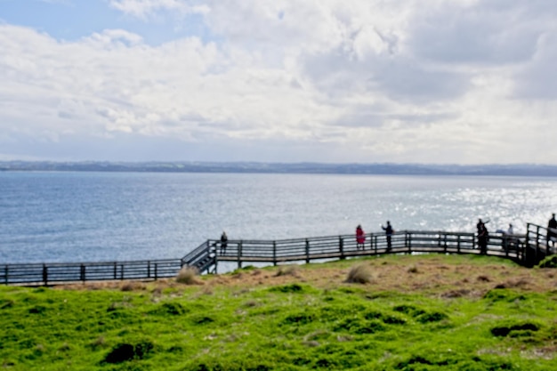 A green grassy field with a fenced in area that says'the sea '