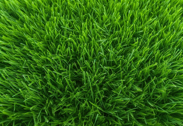 Green Grassy Meadow Texture Background