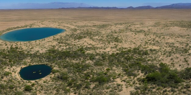 A green grove in the middle of the desert