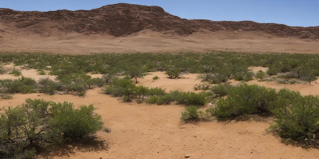 A green grove in the middle of the desert